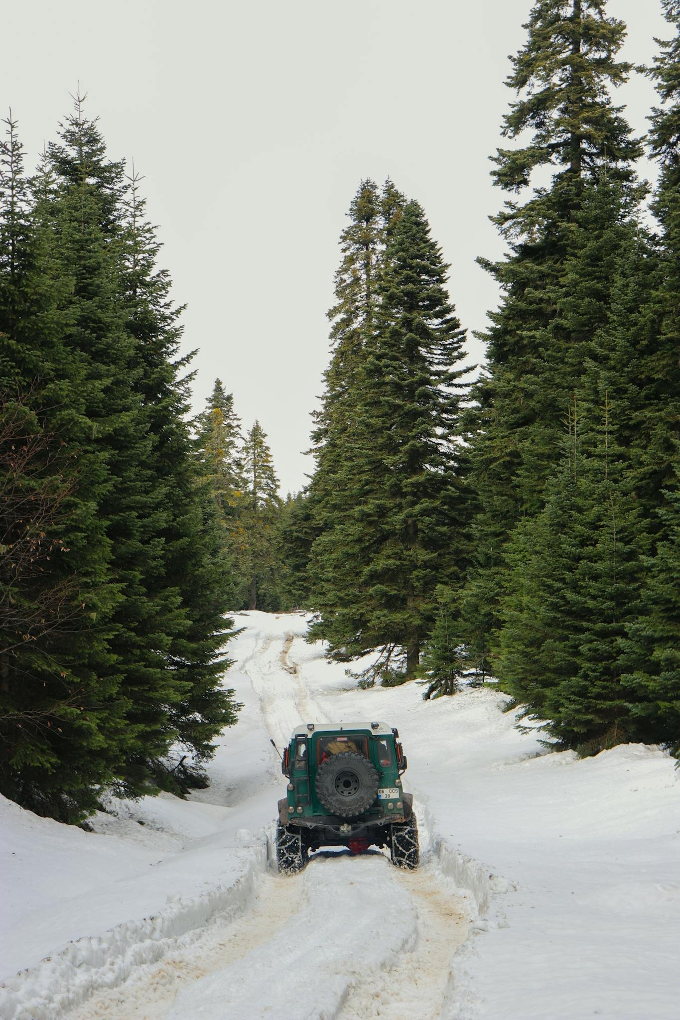 A rugged off-road vehicle navigating a snowy forest trail surrounded by tall pine trees.