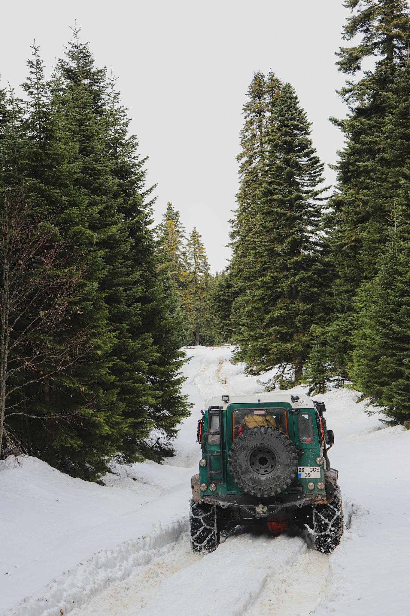 Jeep navigating through a snow-covered forest trail showcasing winter adventure.